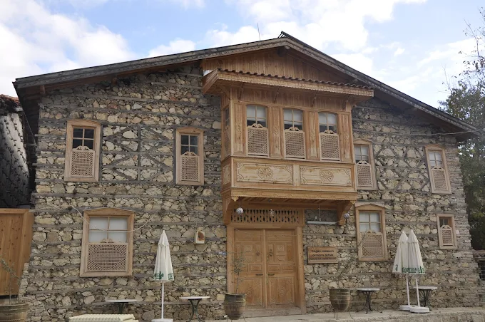 Ormana Active Doğan Mansion