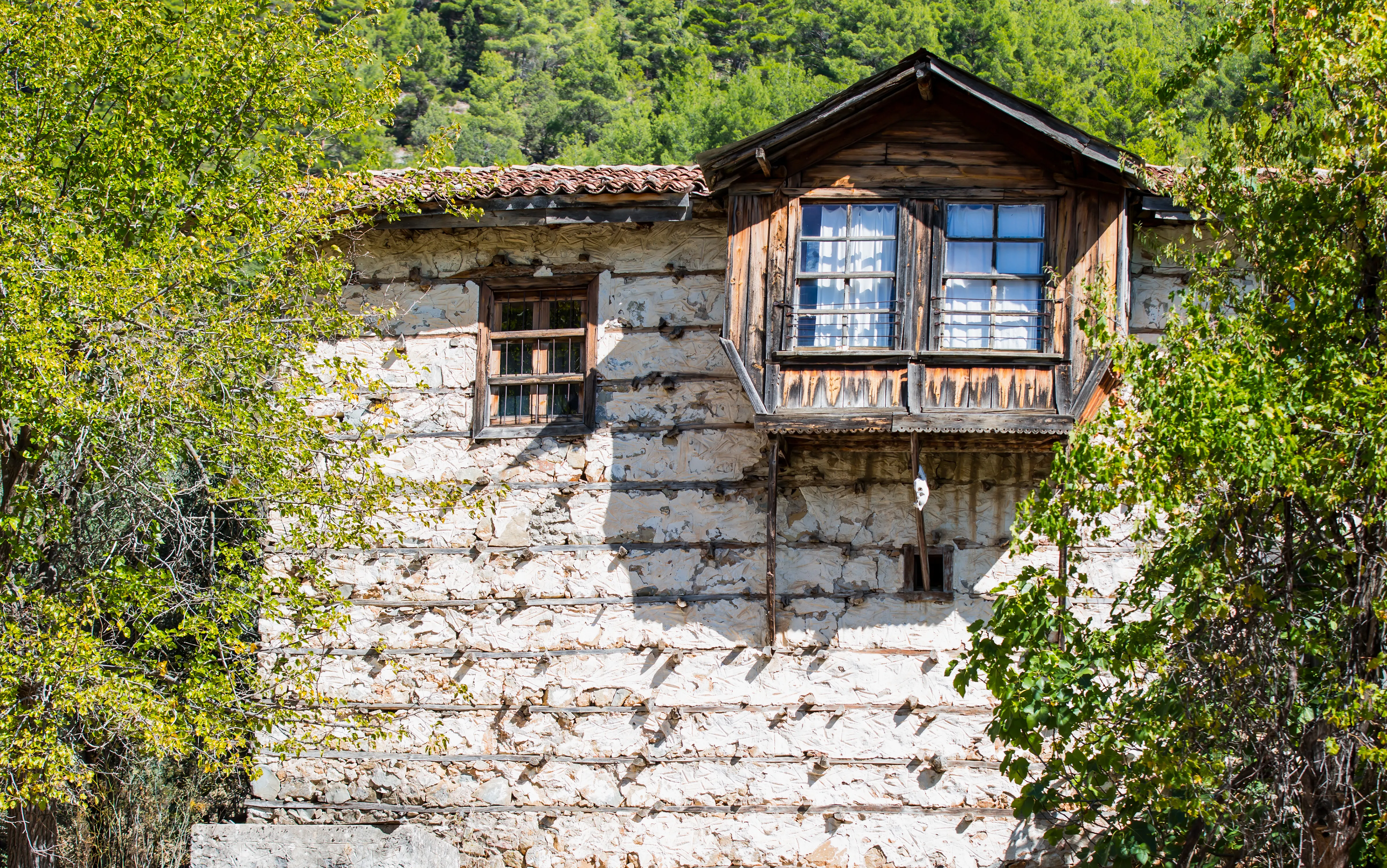 Ormana Active Doğan Mansion